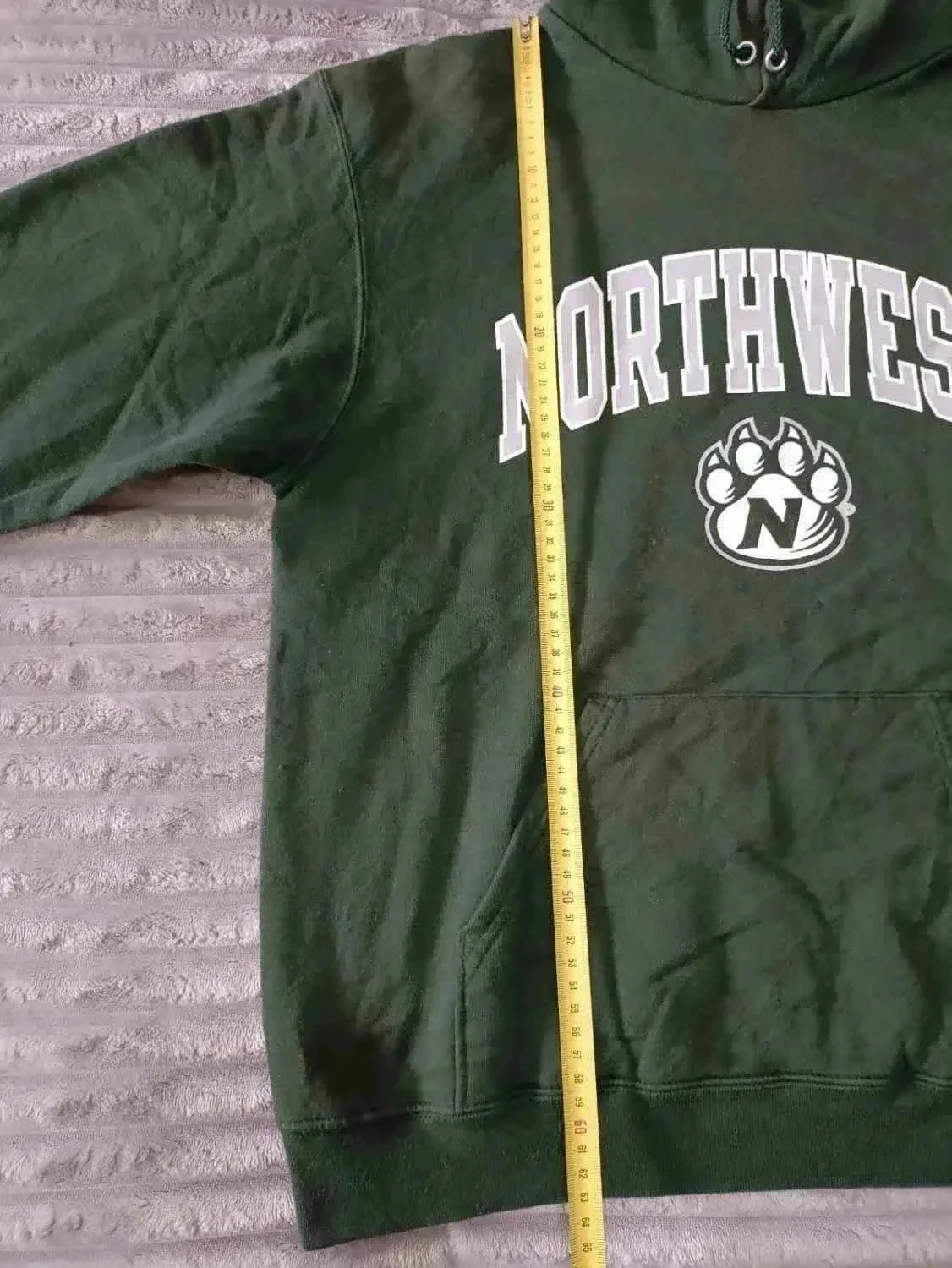 Hoodie Champion Northwest groen Maat M – photo 7